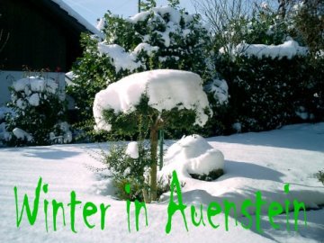 Winter in Auenstein...