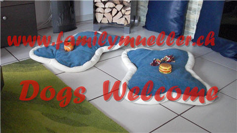 Dogs are Welcome bei www.familymueller.ch...